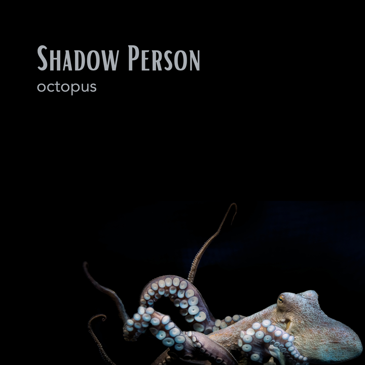 Shadow Person's new album - Octopus