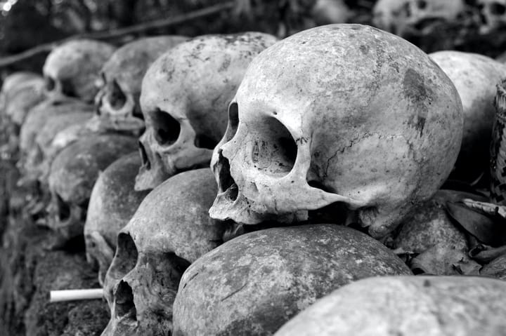 grey skulls piled on ground